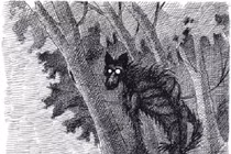 Kỳ bí quỷ hầu - sinh vật huyền bí gây náo loạn rừng núi 