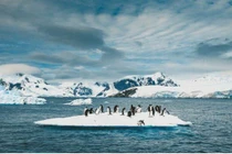 Sông băng Nam Cực tan nhanh nhất trong 5.500 năm, lời cảnh báo thảm họa 