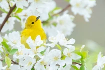 Quý nhân che chở, người sinh ngày Âm này năm 2022 giàu sang hưởng phúc 