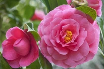 Ai sinh vào 3 khung giờ này, cuối 2024 may mắn nhân đôi