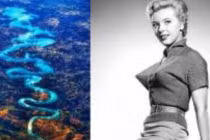 6 bức ảnh hiếm vô tình được chụp, nhân loại ngỡ ngàng