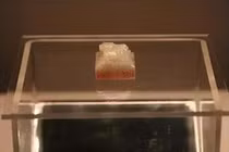 Nhặt được đá lạ, 44 năm sau phát hiện là bảo vật vô giá