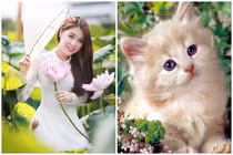 4 con giáp 'khéo ăn khéo nói có cả thiên hạ', làm gì cũng thuận