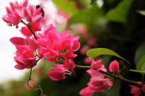 Tuần mới (8/8-14/8), 3 con giáp sự nghiệp phất lên, tiền bạc cao như núi 