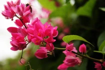 Tuần mới (8/8-14/8), 3 con giáp sự nghiệp phất lên, tiền bạc cao như núi 