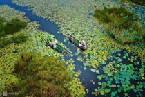 Khám phá vẻ đẹp hoang sơ, bình dị bãi Sậy sông Đầm Quảng Nam