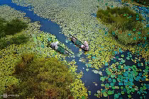 Khám phá vẻ đẹp hoang sơ, bình dị bãi Sậy sông Đầm Quảng Nam