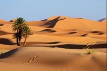 Vì sao sa mạc lại khô? 