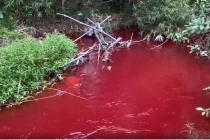 View - Biển hồ Galilee đỏ như máu, bình thường hay 'điềm xấu'? | Báo Tri thức và Cuộc sống - TIN TỨC PHỔ BIẾN KIẾN THỨC 24H