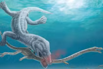 Truy tìm “vua quái vật” cắt đứt đôi thủy quái dài 6 m