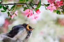 Người sinh tháng Âm lịch bên ngoài đơn giản, bên trong trí tuệ, kiếm tiền đỉnh 