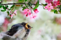 Người sinh tháng Âm lịch bên ngoài đơn giản, bên trong trí tuệ, kiếm tiền đỉnh 