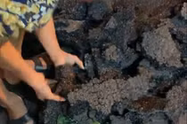 Đường ở Hà Nội vừa thảm xong có thể lấy tay bóc từng mảng