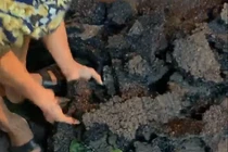 Đường ở Hà Nội vừa thảm xong có thể lấy tay bóc từng mảng