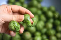 Những người cần cẩn trọng khi ăn sấu