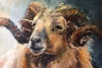 Cứ sang tháng 5/2022: 3 con giáp hỷ sự liên miên, kiếm được bộn tiền