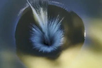 Kinh ngạc 'Cổng địa ngục' hút hơn 1.000m3 nước mỗi giây