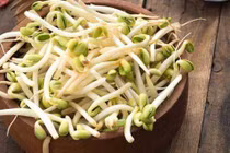 Thấy giá đỗ có dấu hiệu này đừng mua kẻo rước bệnh vào thân