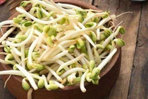 Thấy giá đỗ có dấu hiệu này đừng mua kẻo rước bệnh vào thân