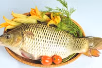 Cá chép dồi dào omega-3 cực tốt cho chị em phụ nữ