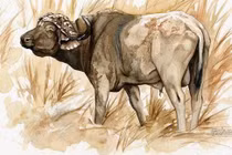 Thiên thời địa lợi, 3 con giáp tiền tỷ cầm chắc trong tay ba năm tới