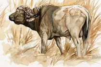 Thiên thời địa lợi, 3 con giáp tiền tỷ cầm chắc trong tay ba năm tới