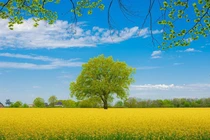 Tháng 3 không áp lực, 4 con giáp tận tâm công việc, hái thành công 