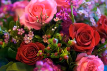 5 ngày tới, 3 con giáp vượng quý nhân, công việc vững vàng, tài lộc phất 