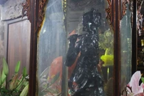 Bí ẩn pho tượng một tay, một chân trong ngôi đền cổ ở Thanh Hóa