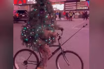 Video: Chàng trai hóa thành cây thông Noel, đạp xe quanh New York
