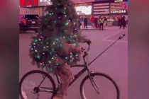Video: Chàng trai hóa thành cây thông Noel, đạp xe quanh New York