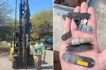 Mổ bụng cá sấu "quái vật", phát hiện lời giải cho nhiều vụ mất tích