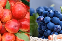 Bước sang tháng 5, 4 loại quả "hóc môn" này càng ít mua càng tốt