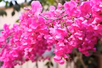 Ngày sinh Âm lịch kết thúc bằng 3 số này, hậu vận vượng lộc