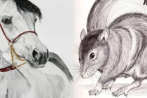  4 tuổi dính Thái Tuế 2023 xui tận mạng, 1 tuổi thoát tam tai giàu khủng