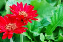 Sinh vào 6 ngày Âm lịch này, năm 2022 hưởng vinh hoa phú quý