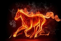 Năm 2025 đào hoa nở rộ, 4 con giáp phất lên giàu sụ 