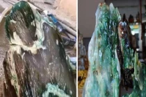 Nhặt được gỗ hóa ngọc 200 triệu năm, thanh niên lập tức đổi đời