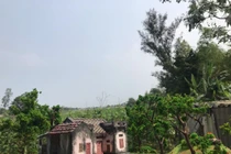 Bỏ việc văn phòng, 9x trở về dựng nhà xưa, khách thi nhau đặt mua