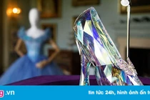 Video: Đôi giày bạch kim chỉ giới siêu giàu mới mua được