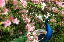 Sinh tháng Âm này, tháng Chạp mở cửa đón Thần Tài, Tết 2022 giàu khủng 