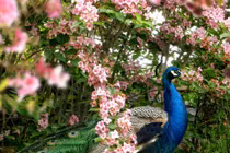 Sinh tháng Âm này, tháng Chạp mở cửa đón Thần Tài, Tết 2022 giàu khủng 