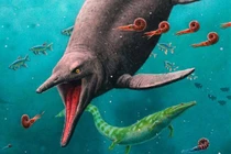 Ngư long cổ xưa nhất hiện ra ở Bắc Cực sau 250 triệu năm