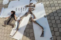 Lộ diện loài quái vật ăn thịt mới dài 8m ở Trung Á 