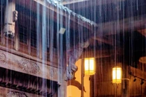 Nước tích trong sân gây tiêu chảy, chất đá trong nhà đau mắt, tại sao?