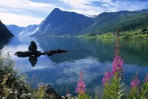 Vợ quyết về quê một mình, chuyện phía sau khiến tôi cay đắng