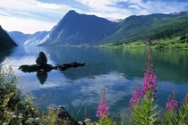 Vợ quyết về quê một mình, chuyện phía sau khiến tôi cay đắng