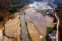 Ngỡ ngàng bức tranh É Tòng mùa nước đổ