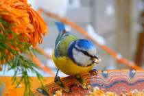 Ai sinh tháng Âm này khởi đầu thuận lợi trong tháng 5, cực phát đạt