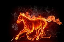 Tháng 10, 11, 12, 3 tuổi may mắn dồn dập, tiền ập vào nhà